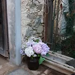 Oro Di Berta Portula
