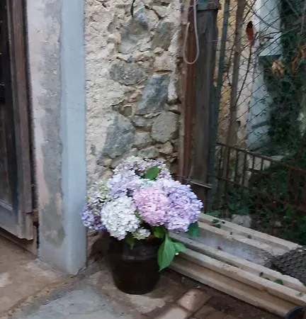 Oro Di Berta Portula