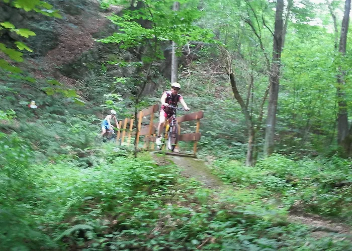 Oro Di Berta Portula