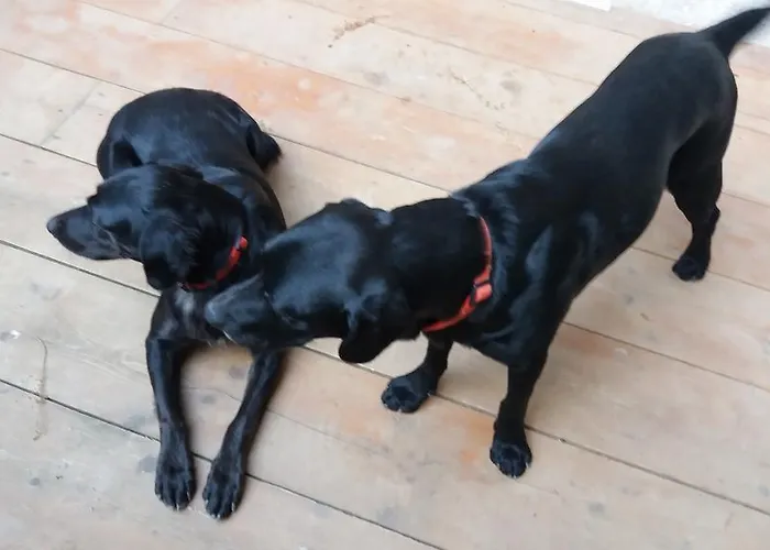 Oro Di Berta * Portula