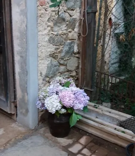 Oro Di Berta Portula